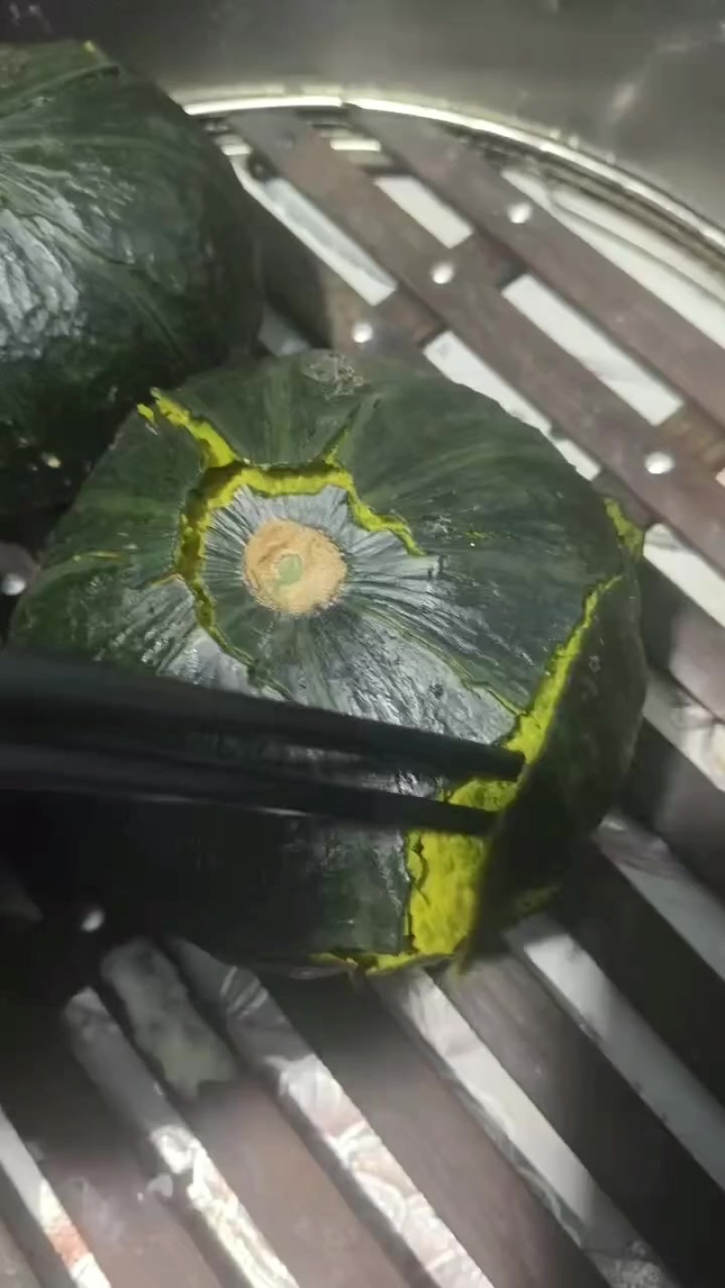 内蒙沙地贝贝南瓜大量有货