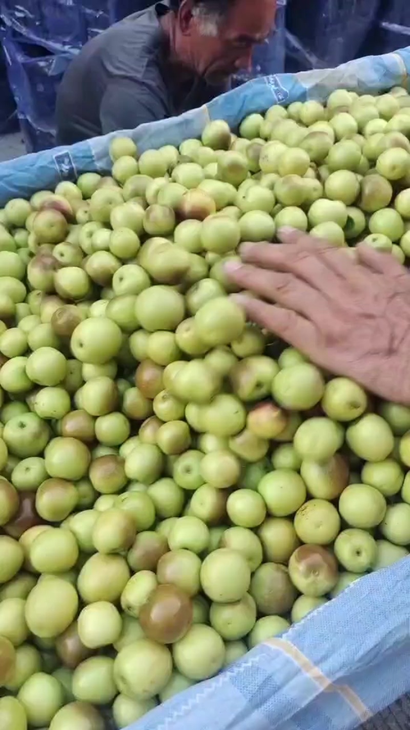 鸡心枣，红枣，鲜枣，自然成熟