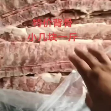 背骨