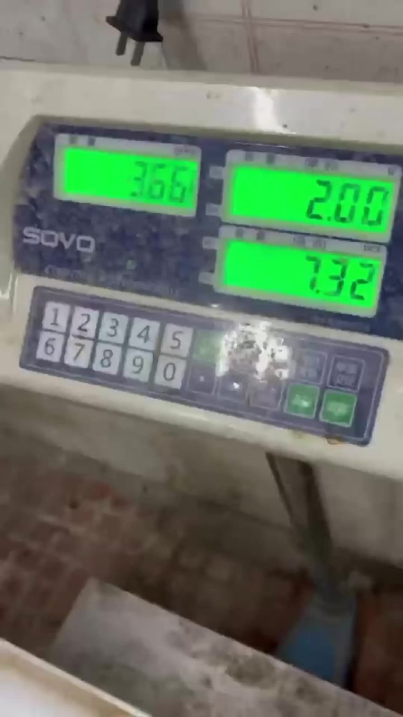 人工养殖鳄鱼肉可发活体免费代杀