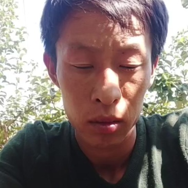 不抹药的秋月梨