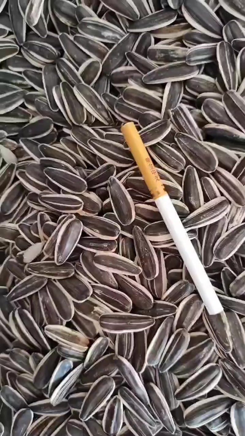 瓜子