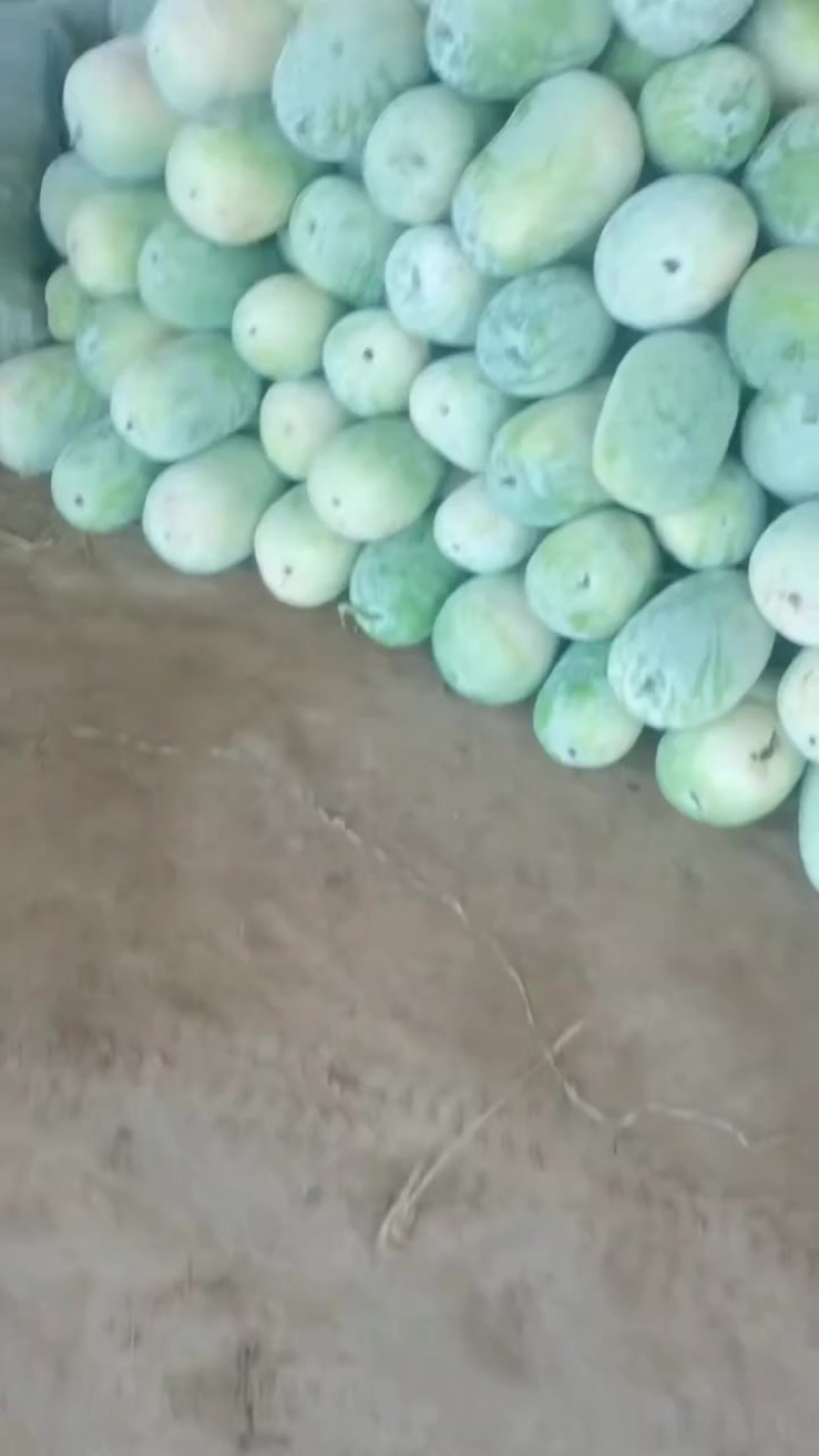 东瓜