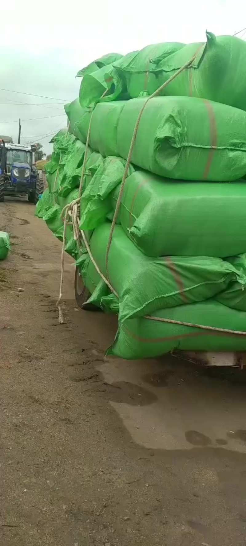 粘玉米秸秆青储方包