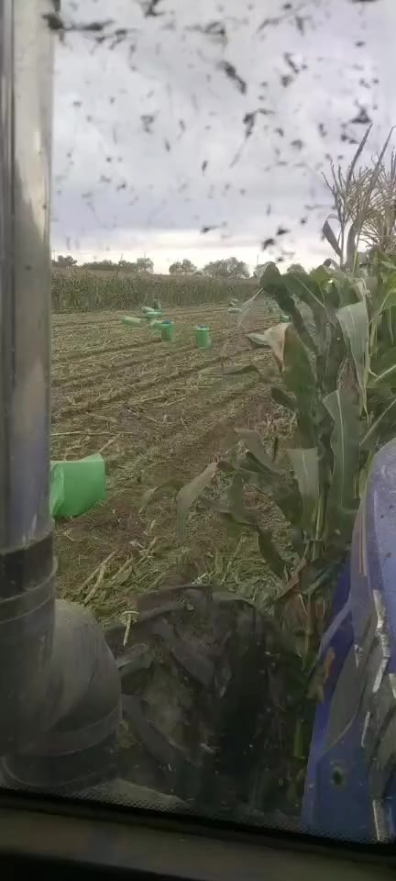 粘玉米秸秆青储方包