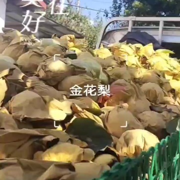 金花梨