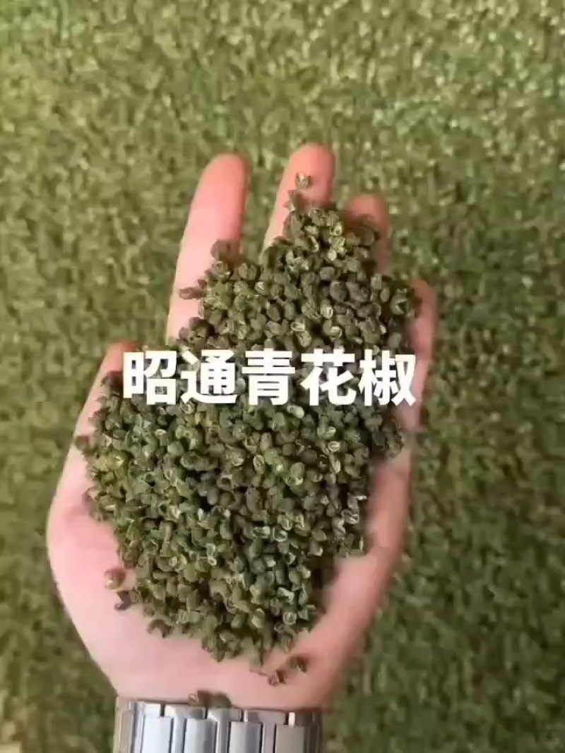 来自云南鲁甸青花椒