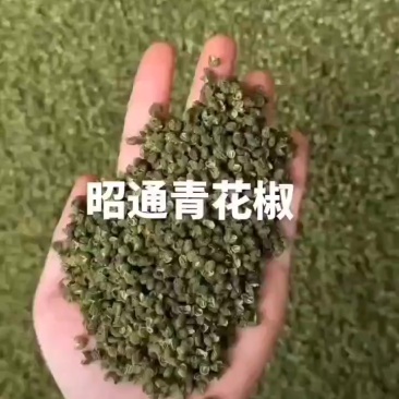 来自云南鲁甸青花椒