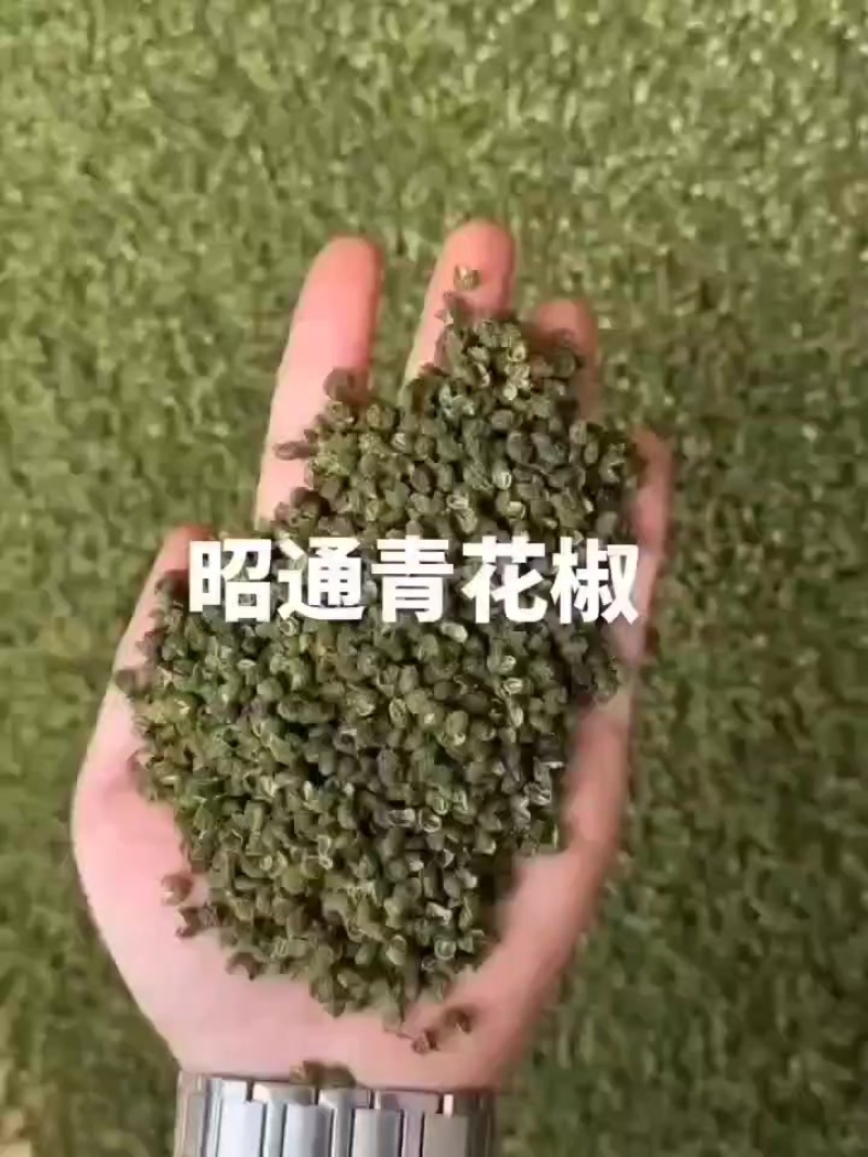 来自云南鲁甸青花椒