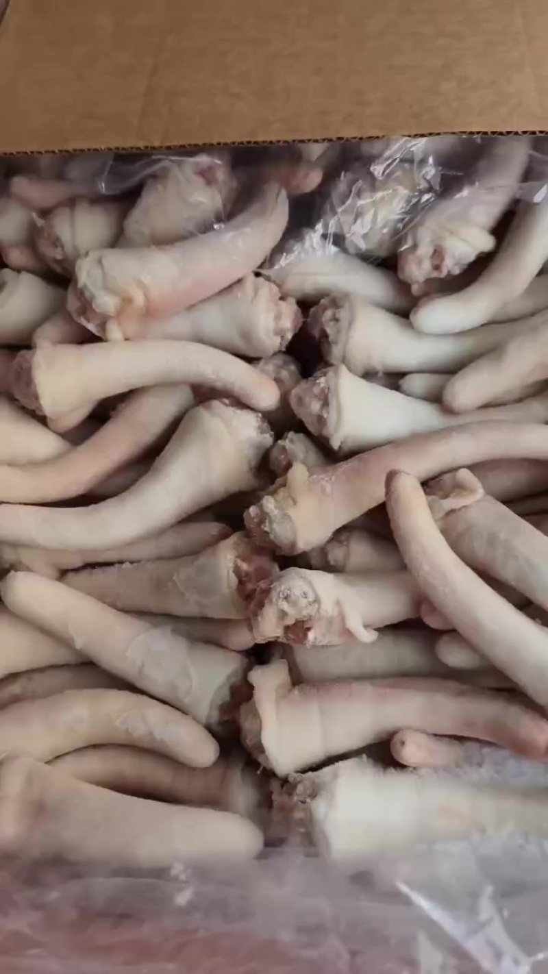 猪中尾