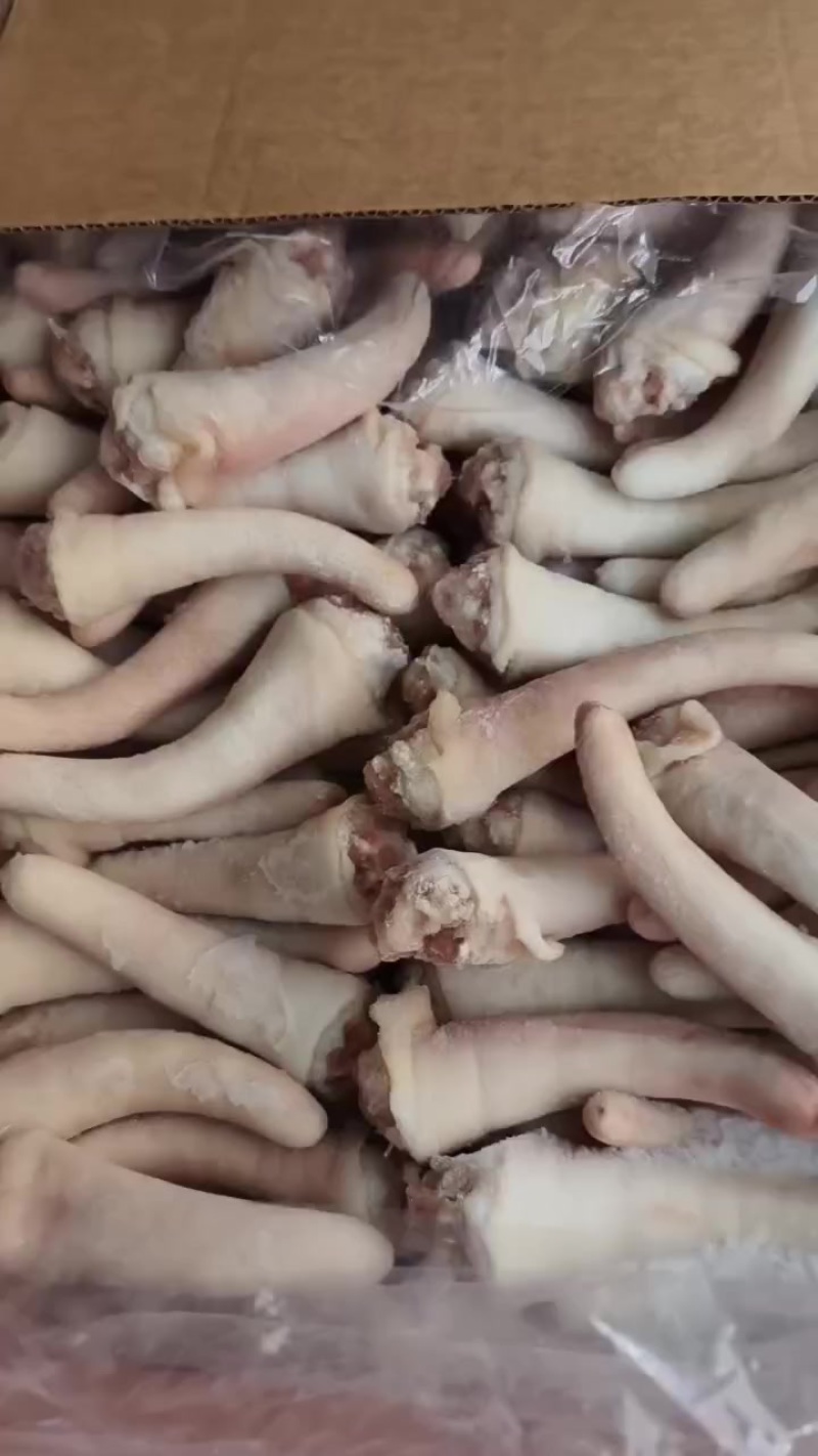 猪中尾