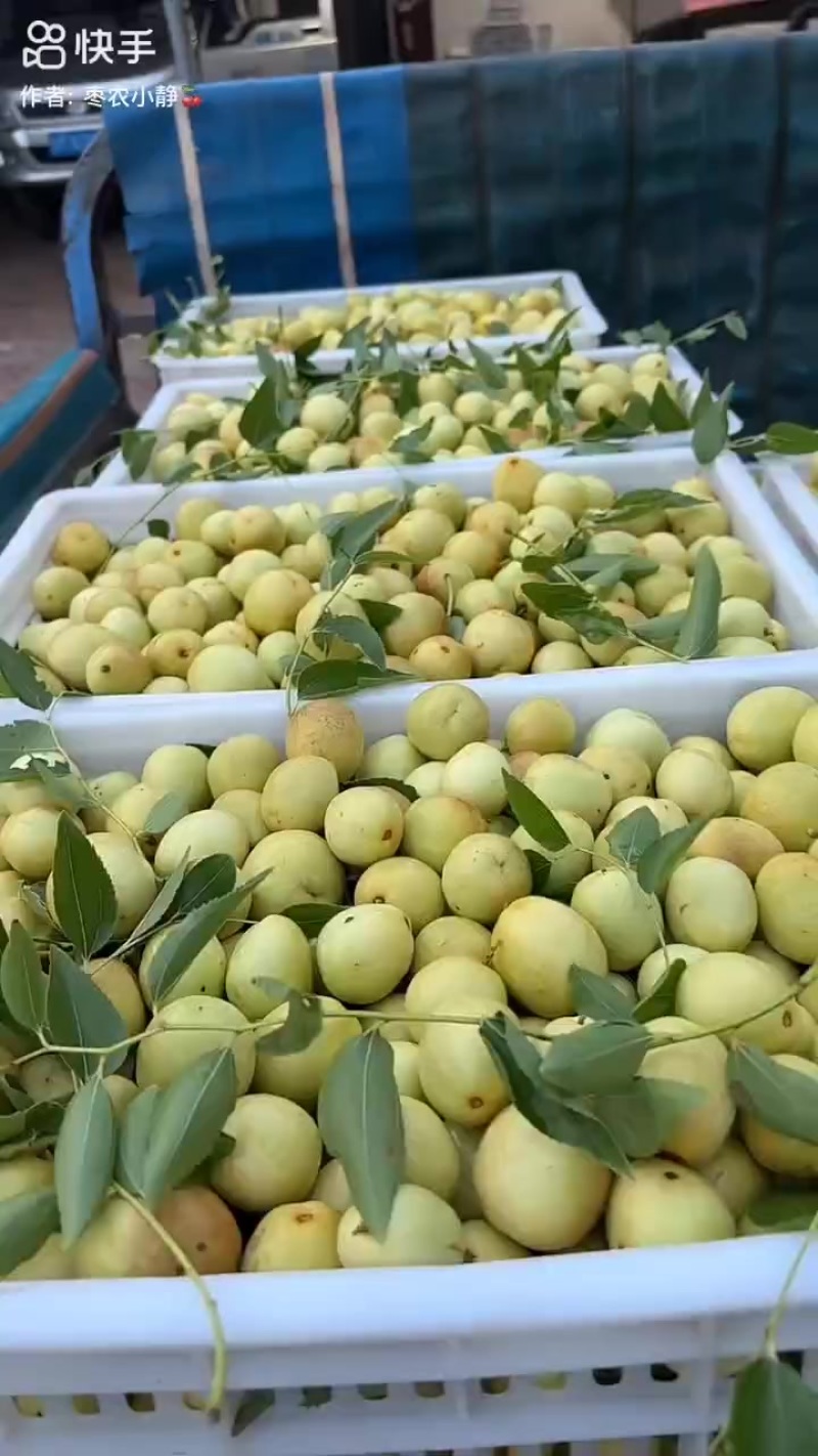 枣脆王