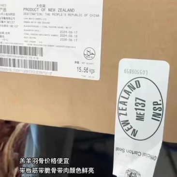 羔羊羽骨价格便宜