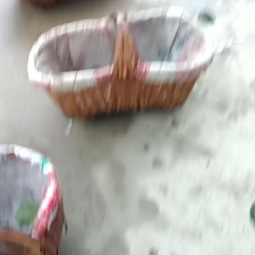 翠冠梨一车一车的发