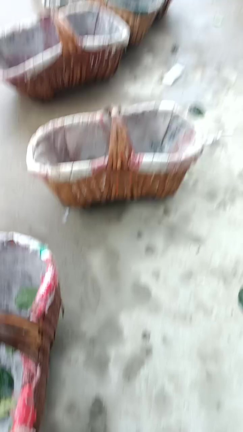 翠冠梨一车一车的发