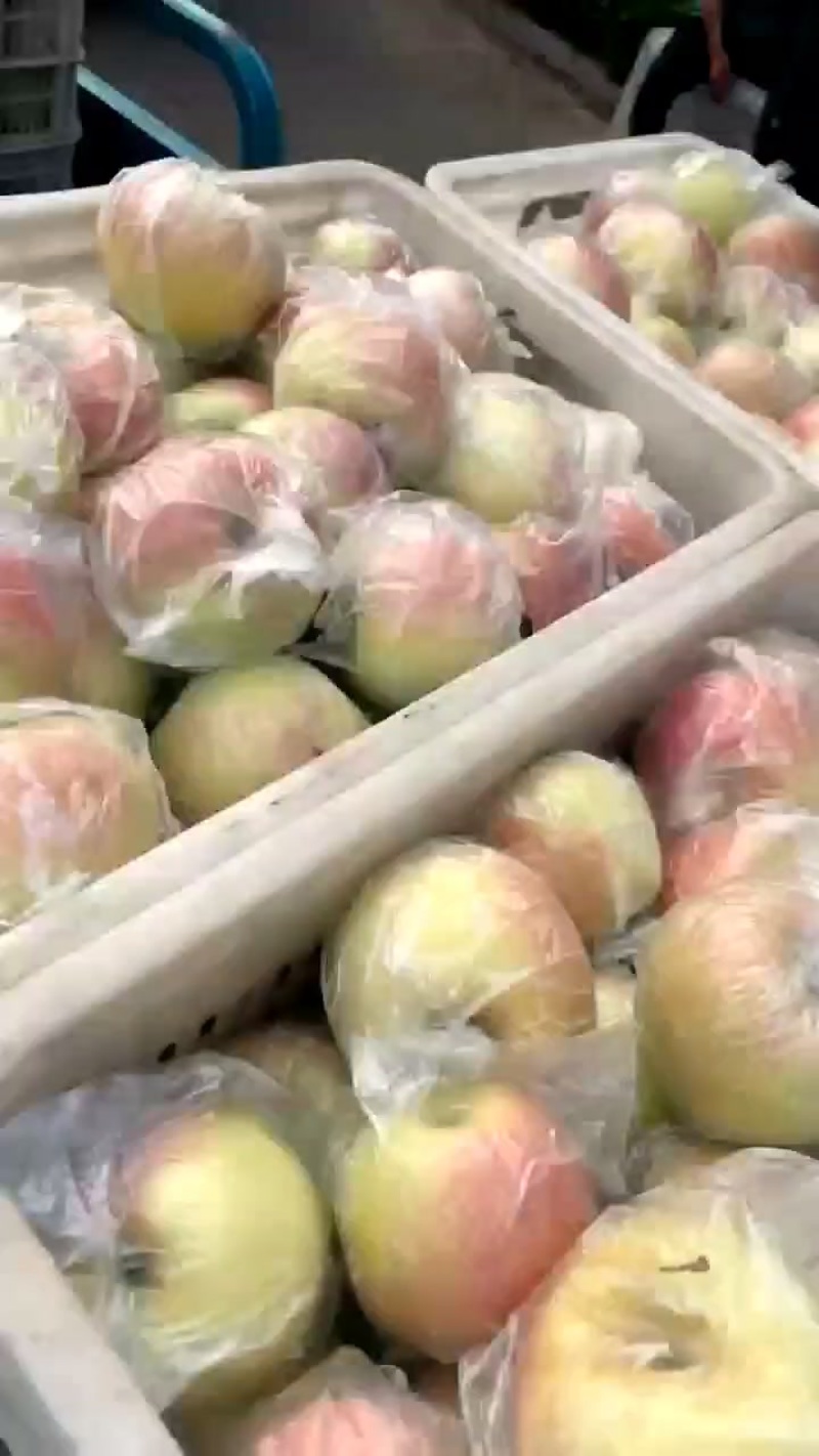 小苹果