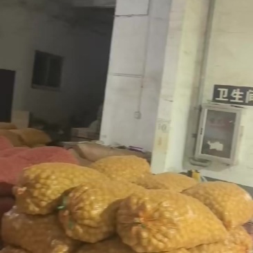恩施精品马尔科土豆