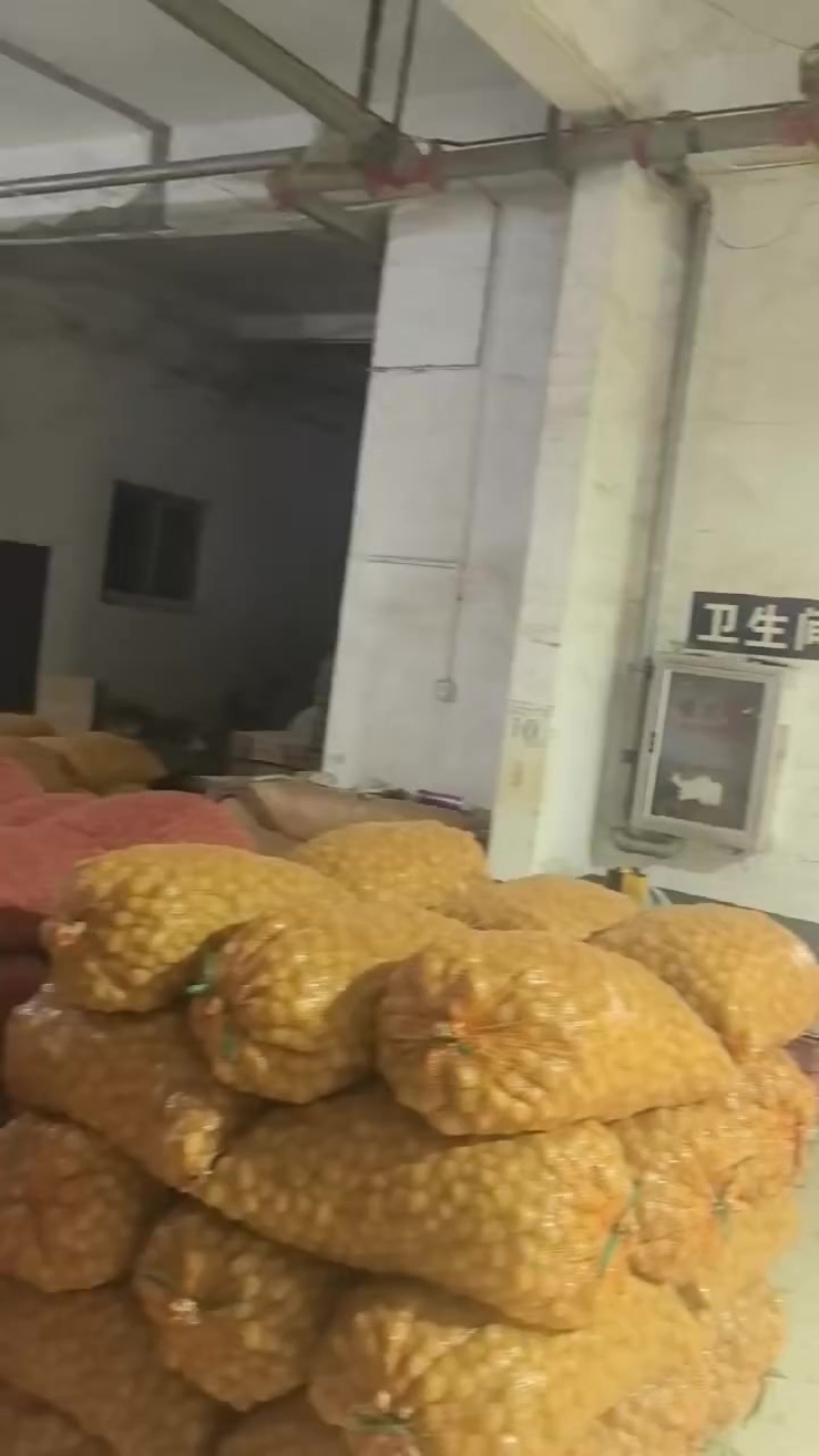 恩施精品马尔科土豆