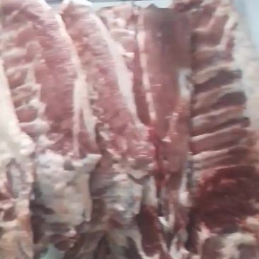 全国发货，屠宰场大量直供猪肉分拆品排骨（标猪）