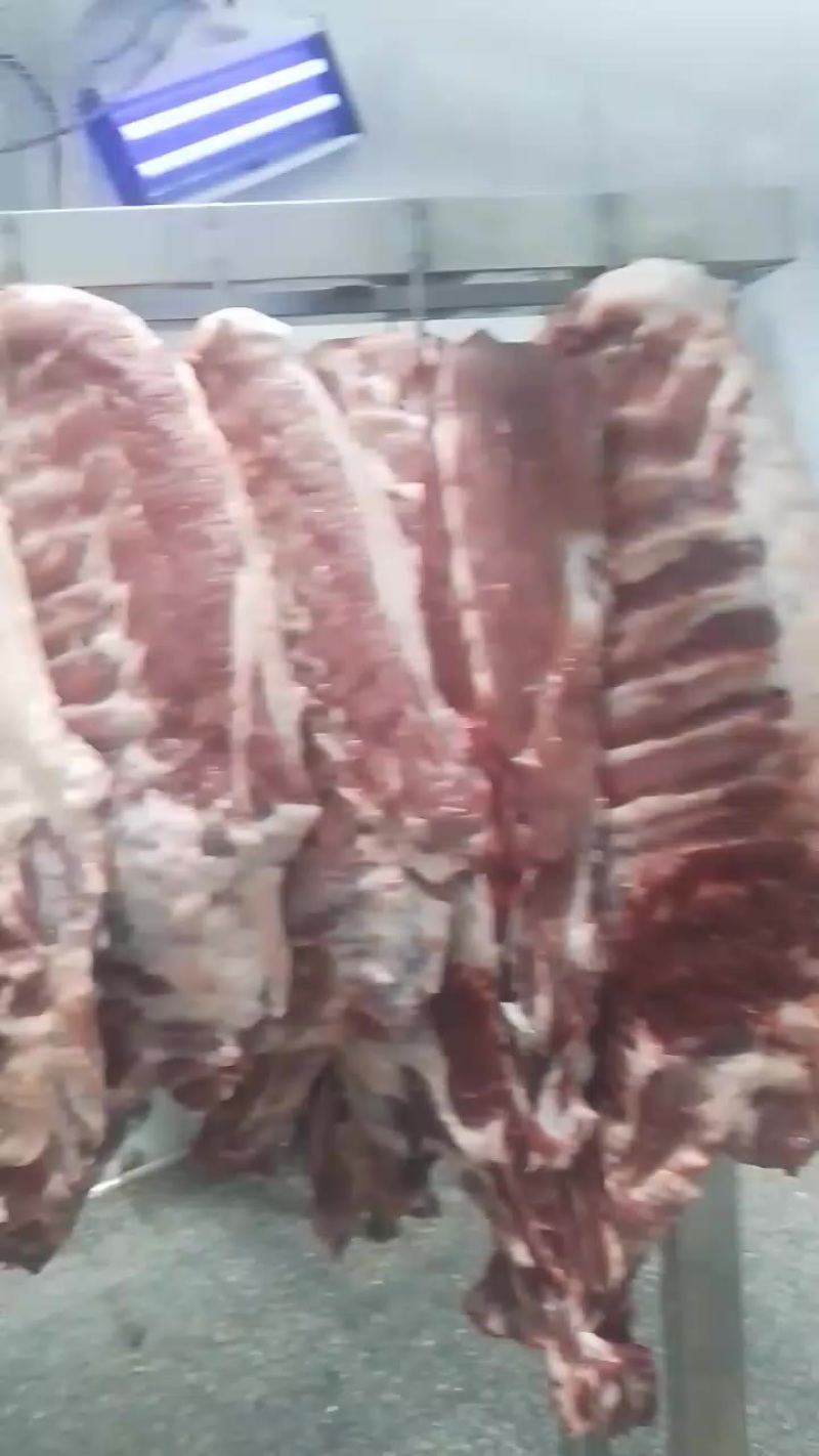 全国发货，屠宰场大量直供猪肉分拆品排骨（标猪）