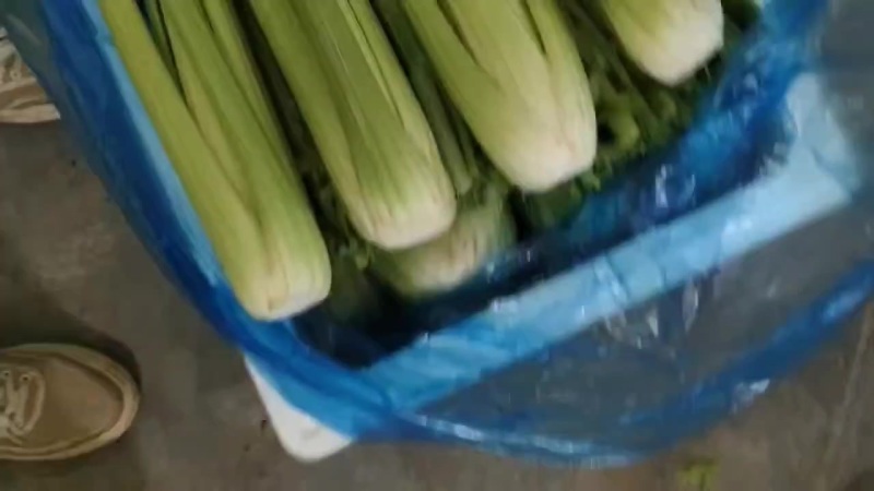 精品西芹