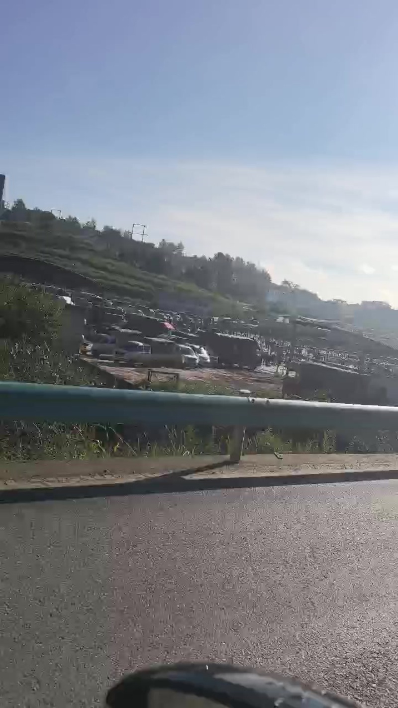 需要抓牛联系了