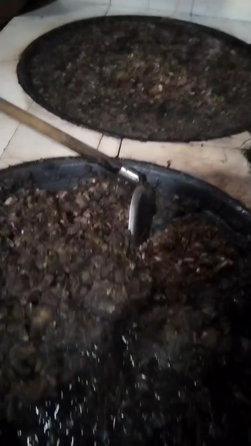 农村吃熟食长大的土猪肉