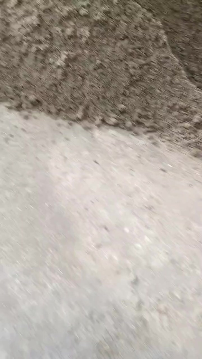 干牛粪