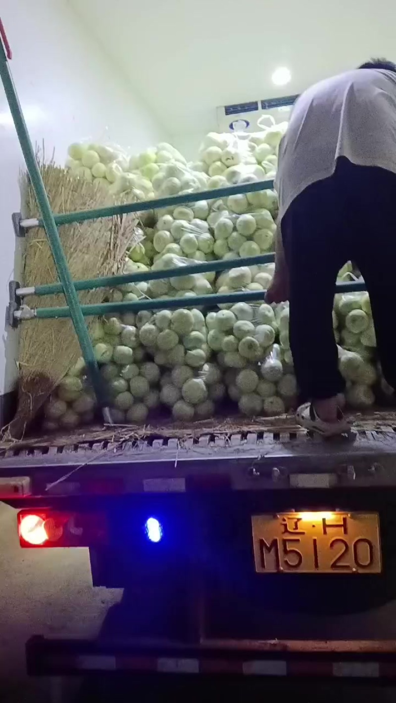 精品甜瓜