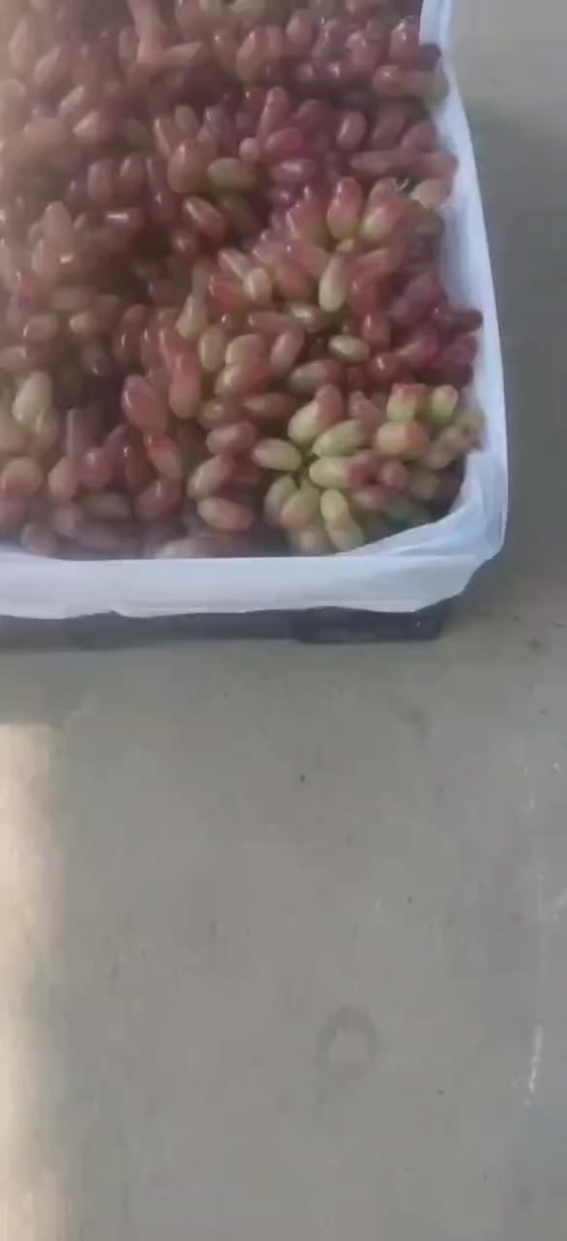 高山美人指葡萄。