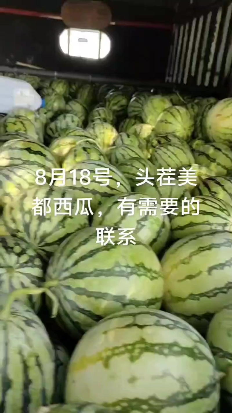 美都西瓜