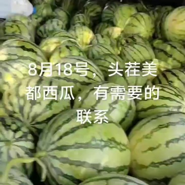 美都西瓜