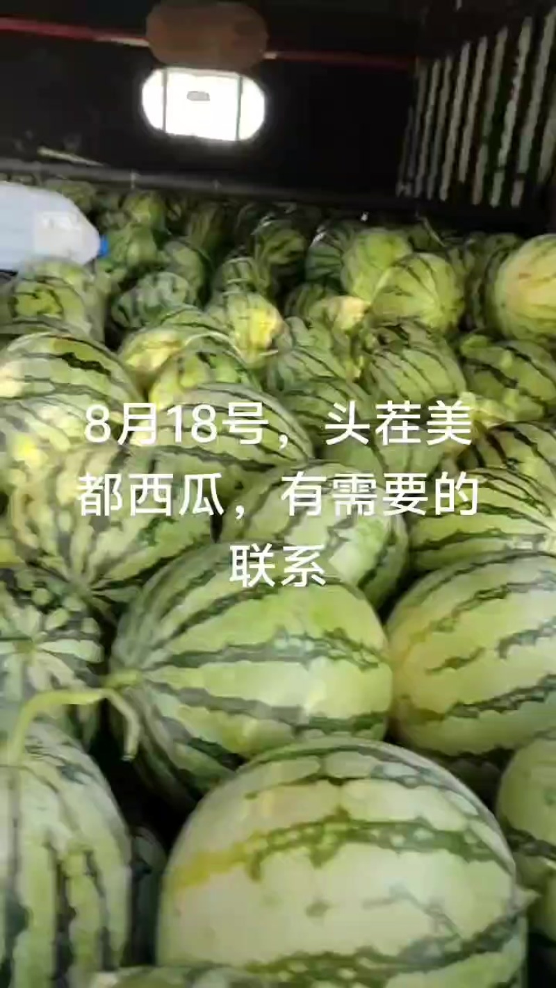 美都西瓜