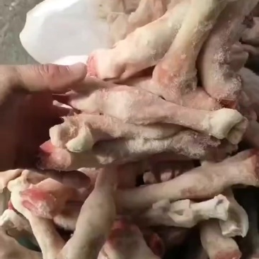 一斤4-6个小羊蹄需要私信上面电话不是