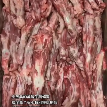 小羔羊的羊尾尖精修款