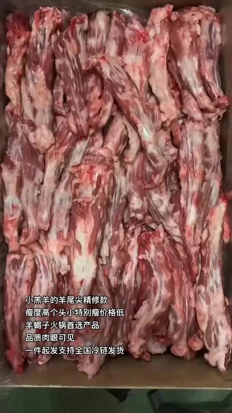 小羔羊的羊尾尖精修款