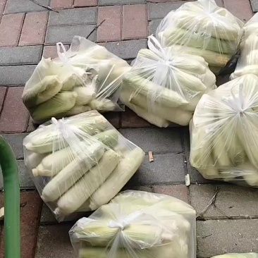 黄甜糯玉米