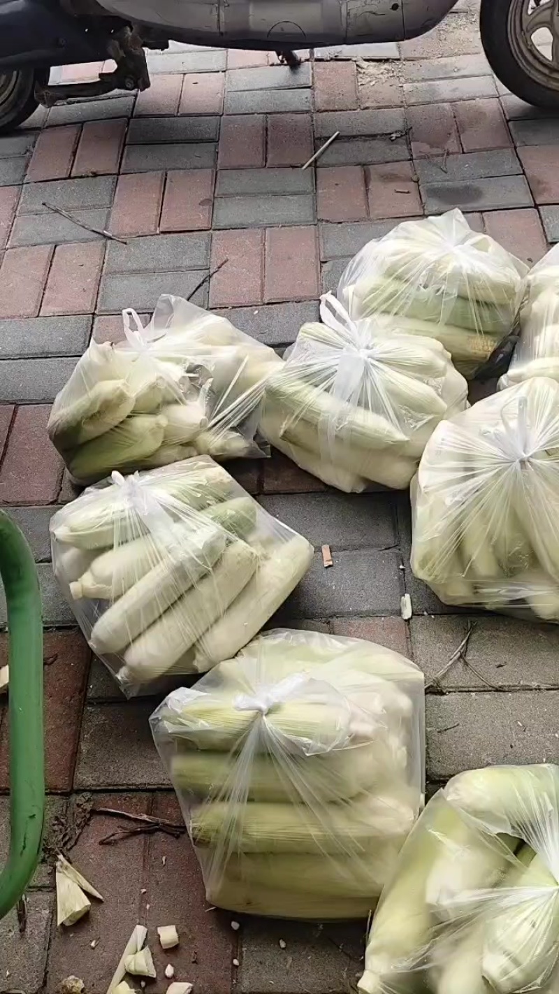 黄甜糯玉米
