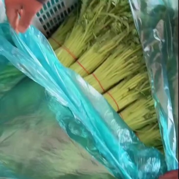 精品