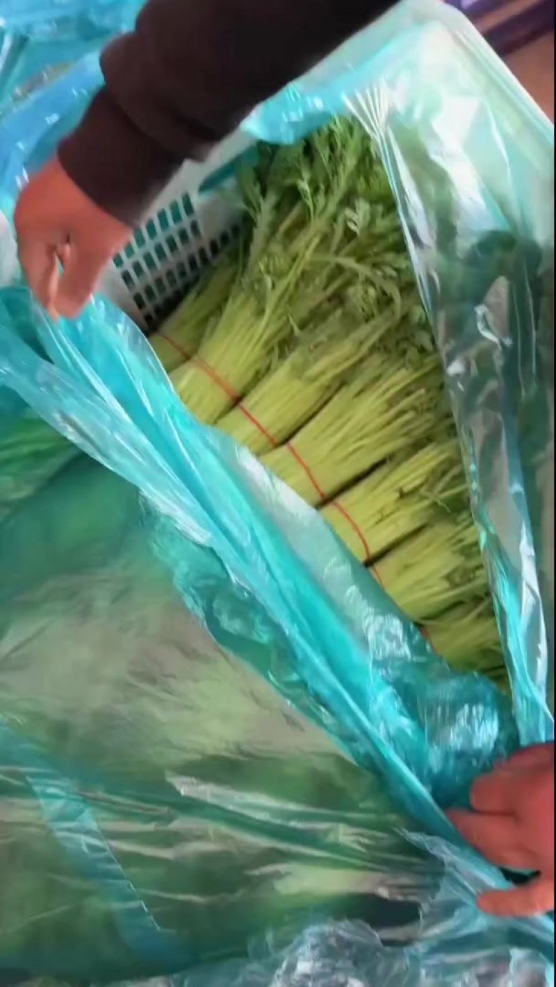 精品