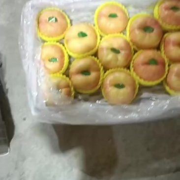 蟠七有货需要的联系