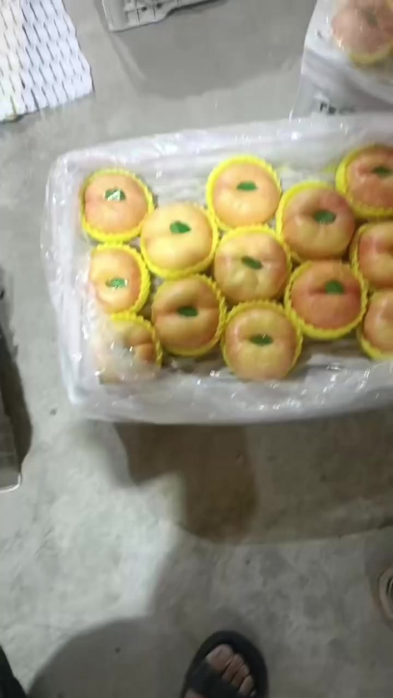 蟠七有货需要的联系
