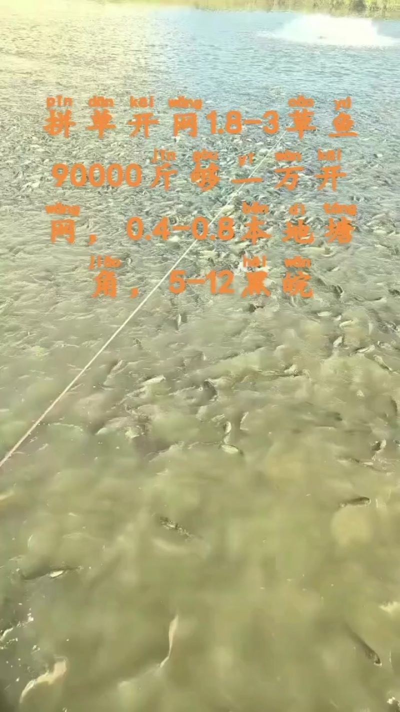 超市皖，塘头货