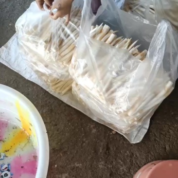 小号，中号，长号发货中，需要的老板需提前预定哦