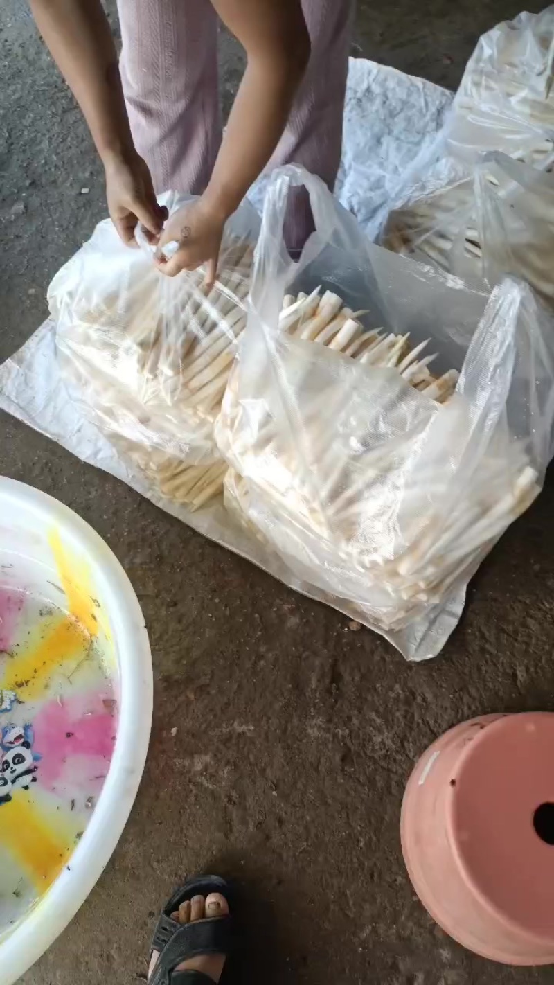 小号，中号，长号发货中，需要的老板需提前预定哦