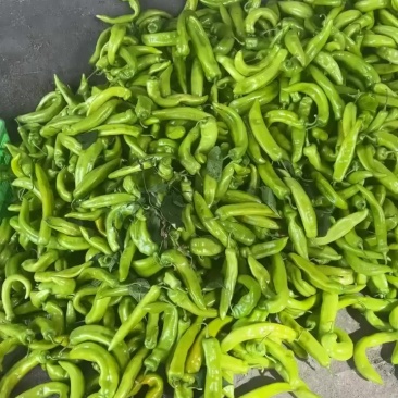 新鲜辣椒