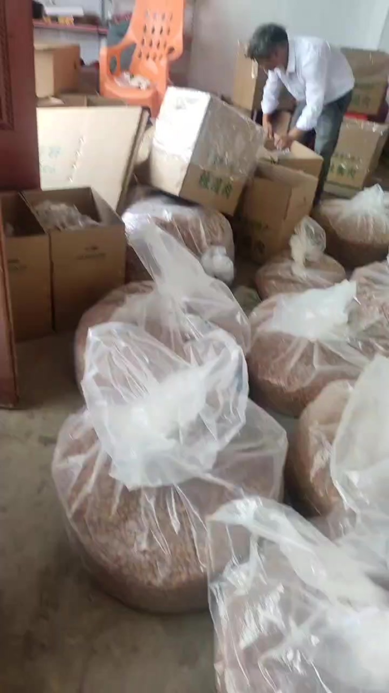 博白桂圆肉，一级货