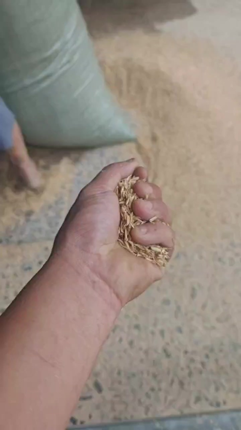 软包稻壳种植养殖酿酒专用
