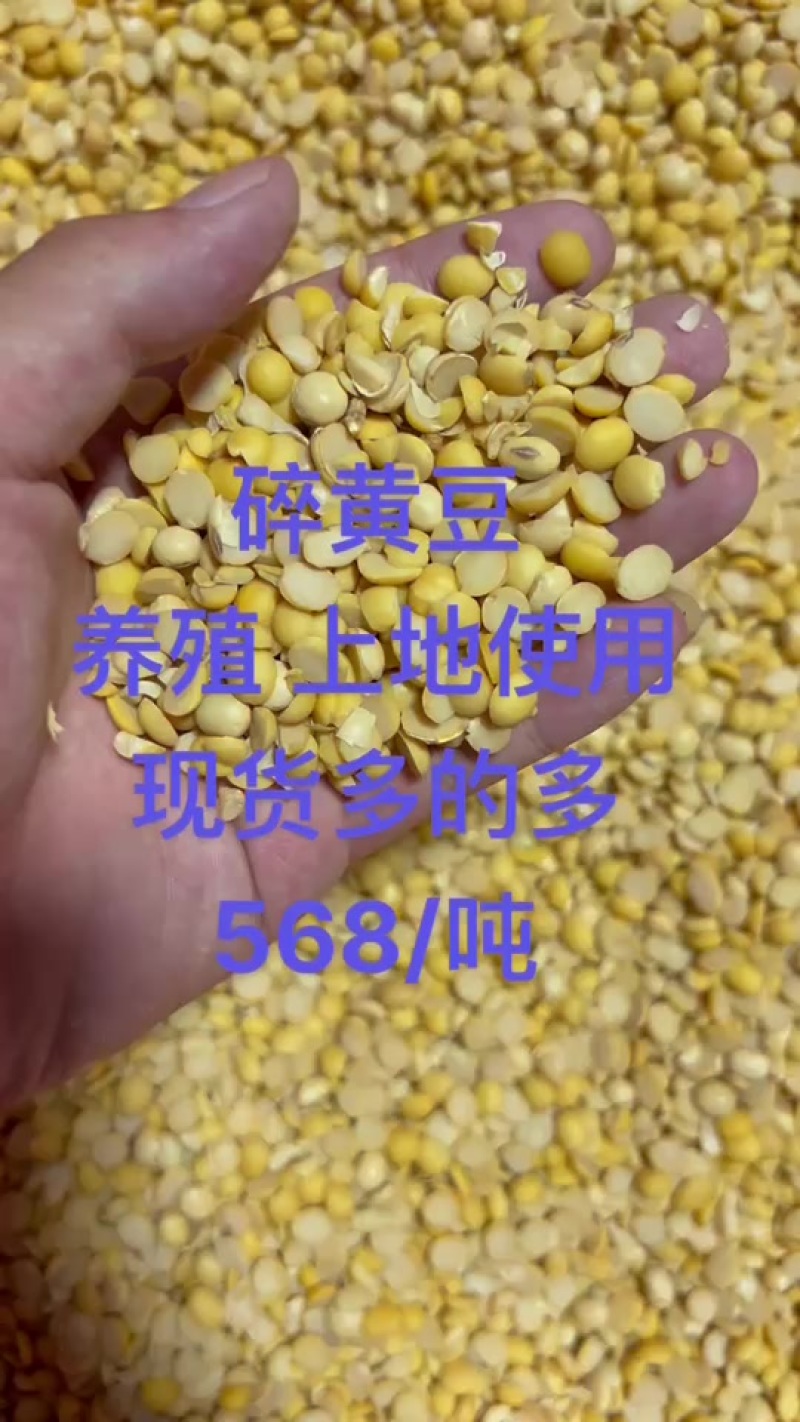 碎黄豆肥料