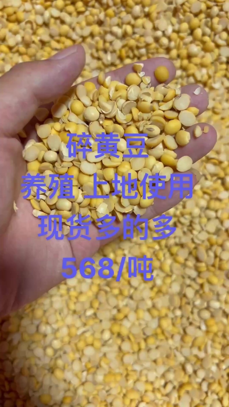 碎黄豆肥料